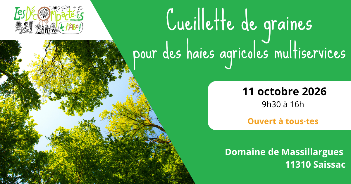 Affiche cueillette graines 11 oct